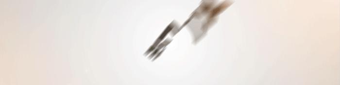 鏉ユ睙婊╄祻鑿婅姳,鑿婅姳鐑傛极