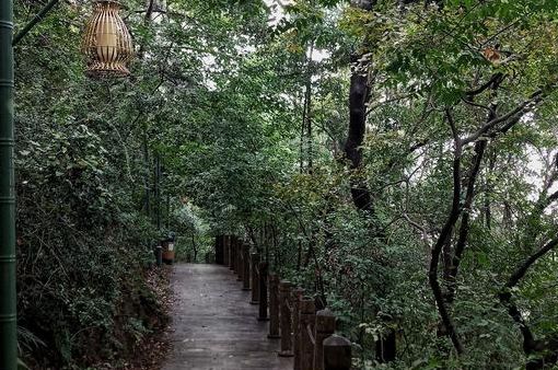 南京这些免费公园，让你任性玩个遍