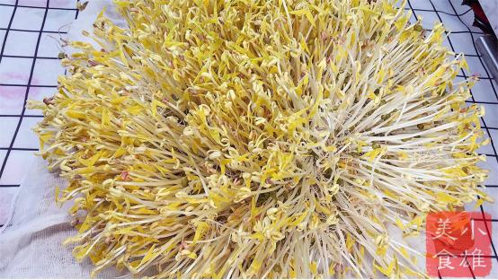 原来发豆芽这么简单,吃了几十年豆芽