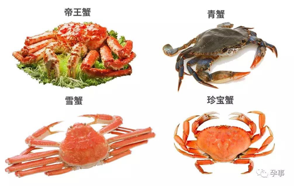 叶璇怀孕电影,叶璇之前怀孕过吗