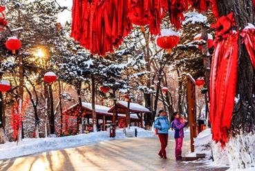 春节你是选择回家还是旅游过年,过年你是选择回家还是加班