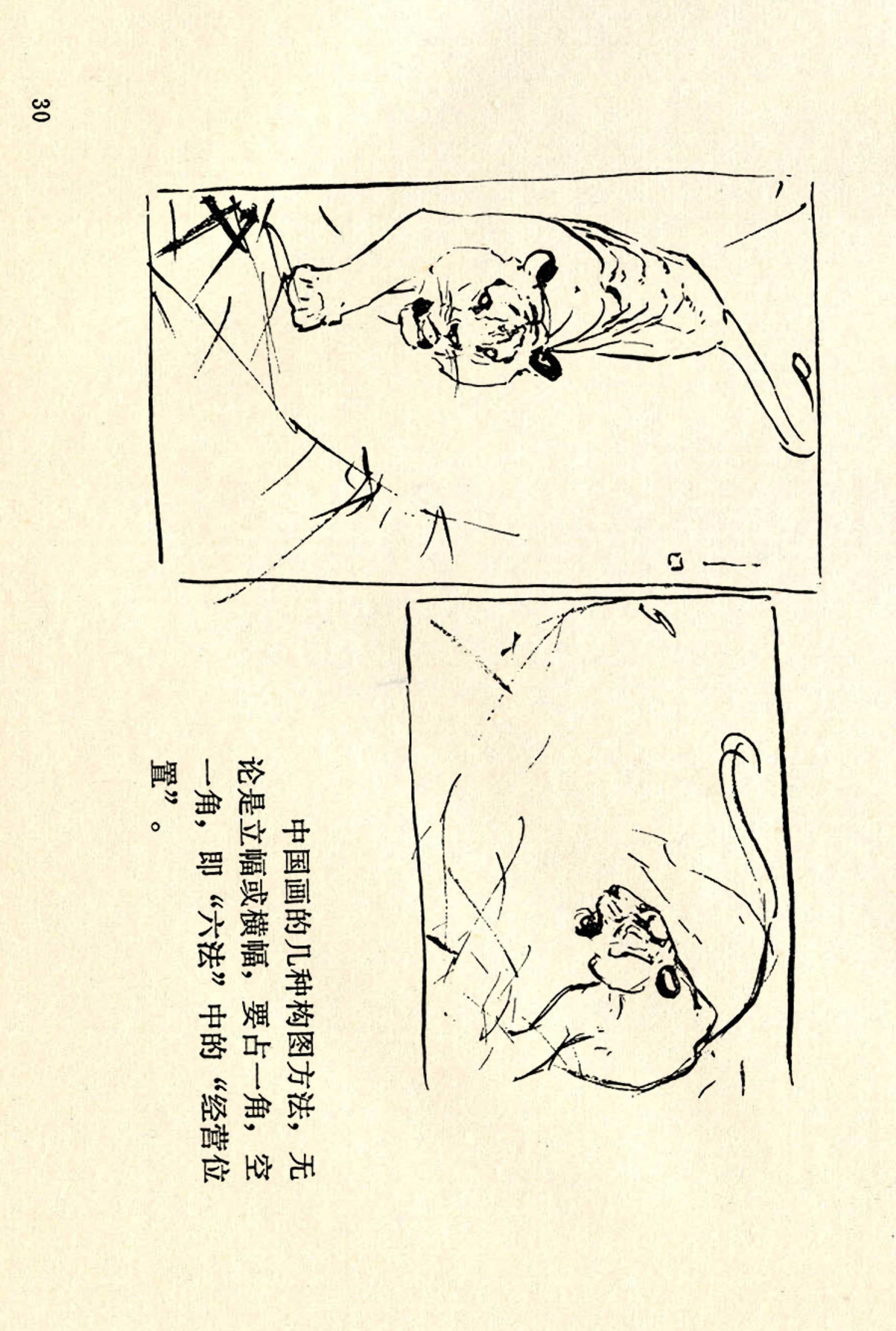 刘继卣画的学习方法,刘继卣动物插画