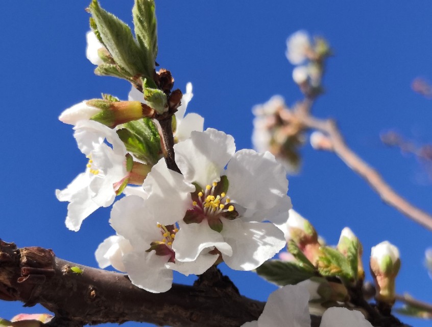 璇楃ぞ閲囬娲诲姩,浼楀垱璇楃ぞ涓冨緥