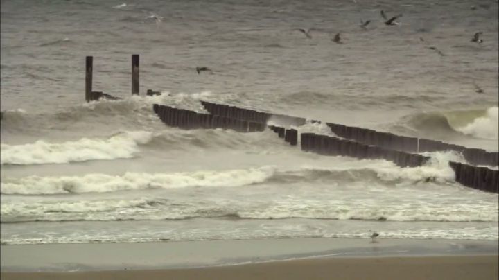 线条+方块，蒙德里安最纯粹的艺术哲学