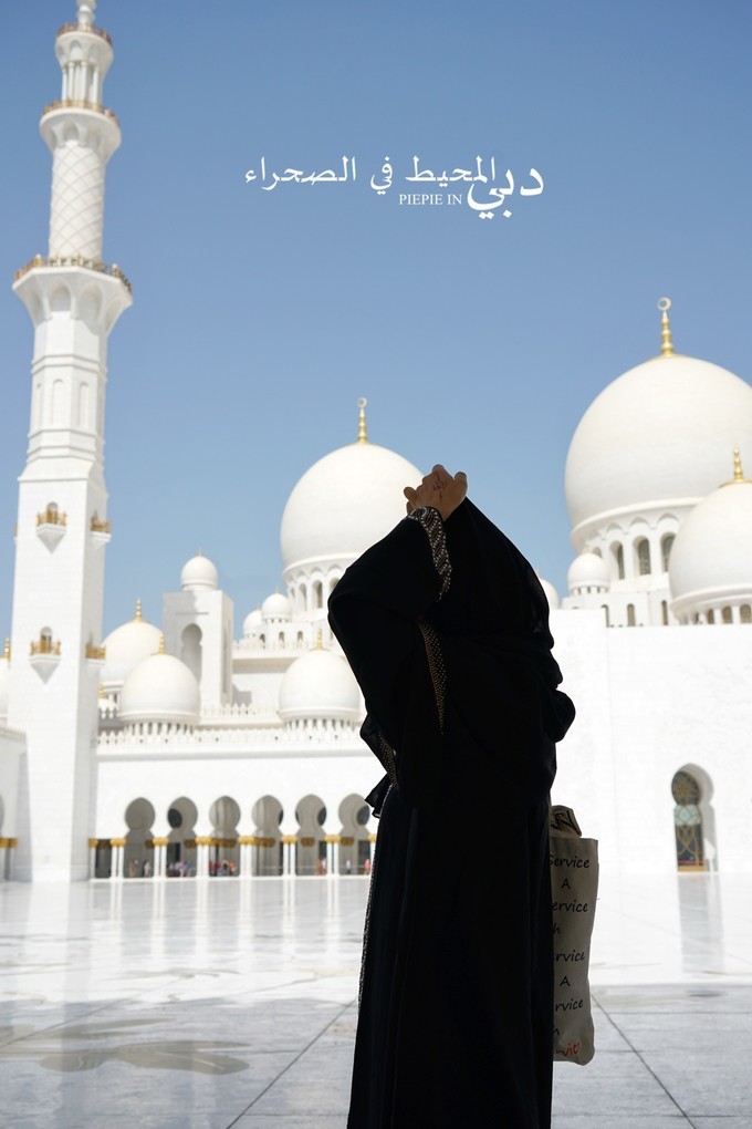 土豪之旅迪拜,迪拜土豪之旅