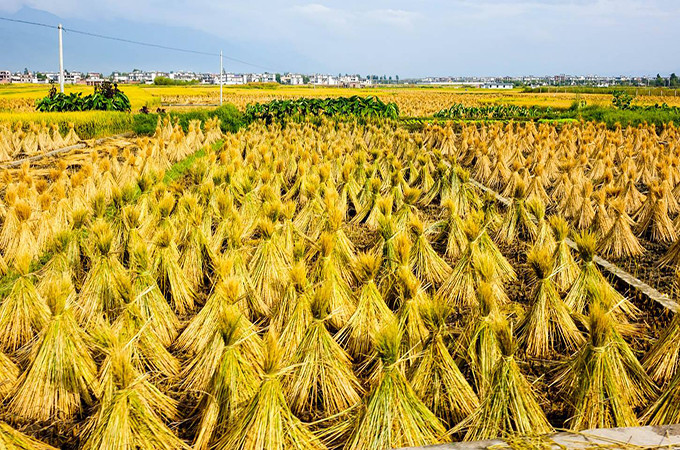 洱海旅游景点攻略,西安洱海旅游攻略必去景点