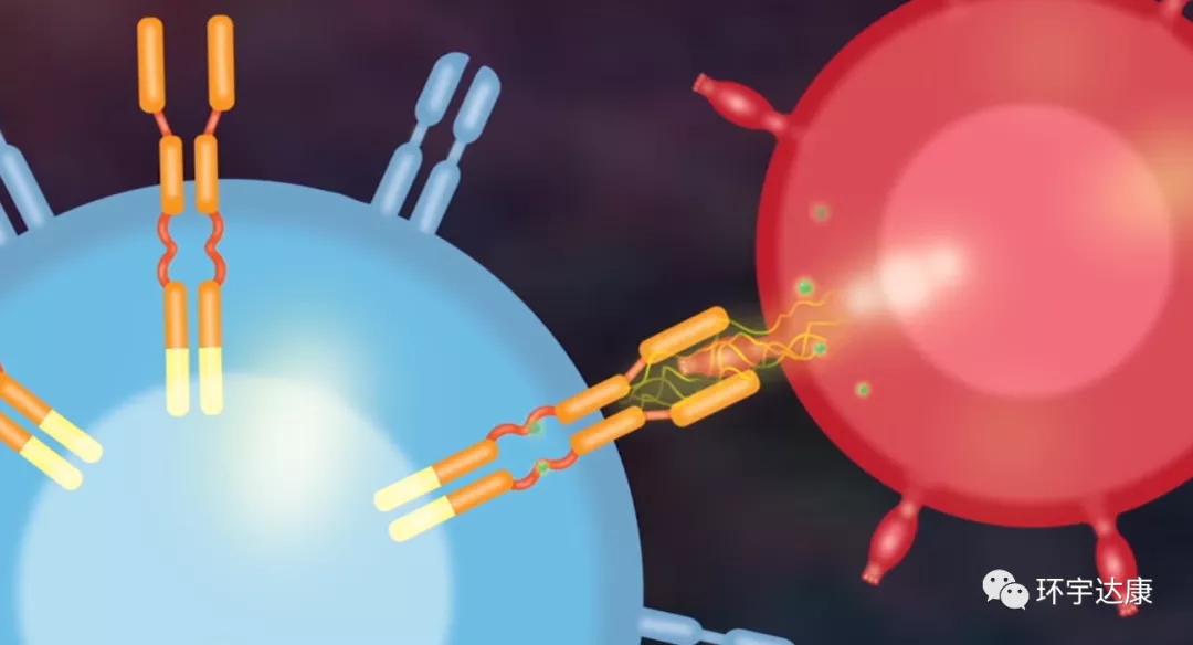 利剑出鞘！三大新型细胞免疫疗法向实体瘤“宣战”