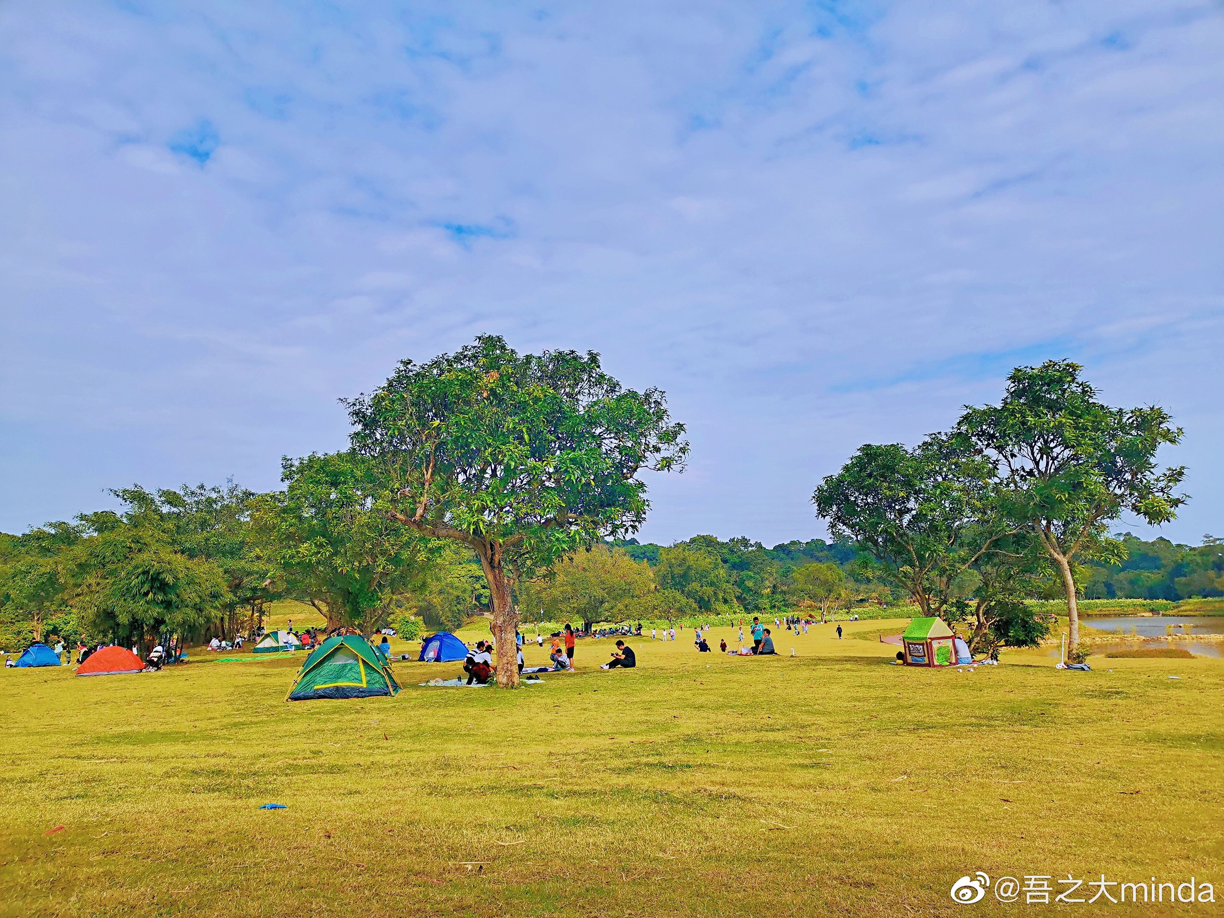 梧桐山下幽径,梧桐山下清风明月