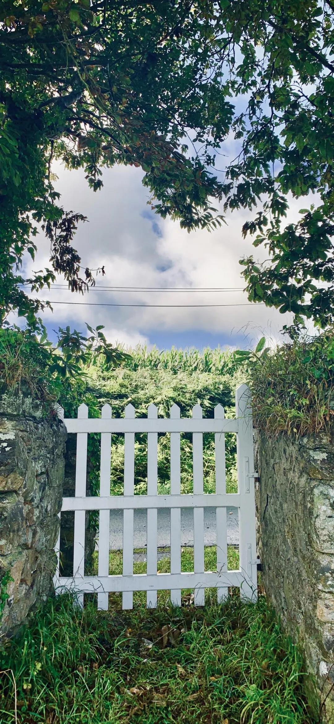 3d壁纸卡通风景壁纸,高清风景壁纸手机壁纸