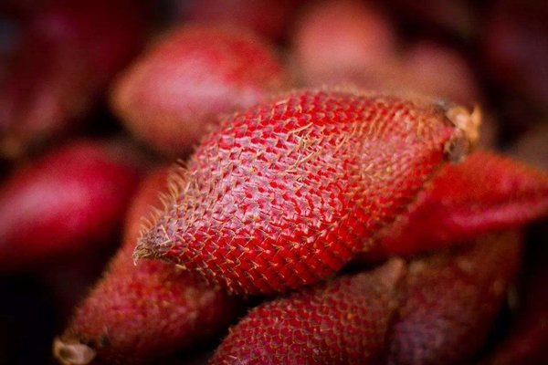 缅甸十大名贵水果,十大名贵水果有哪些