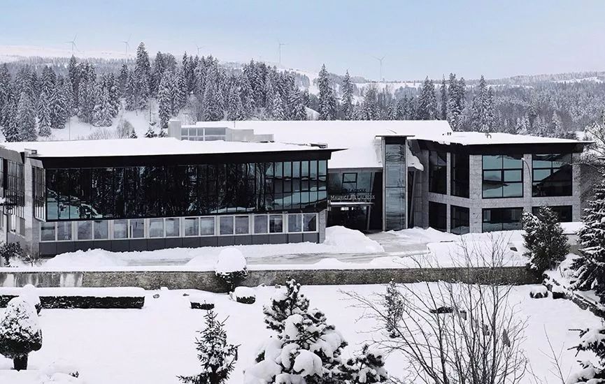 艾美7048用的机芯,艾美pt6227机芯