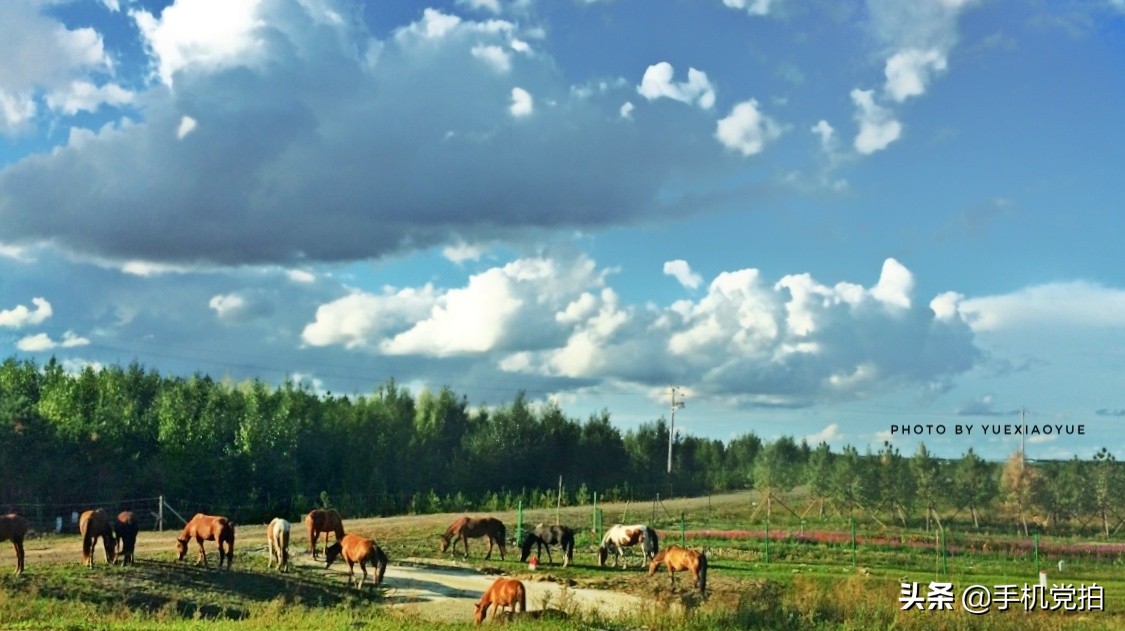 手机拍落日风景怎么拍出高级感,手机白天如何拍风景好看