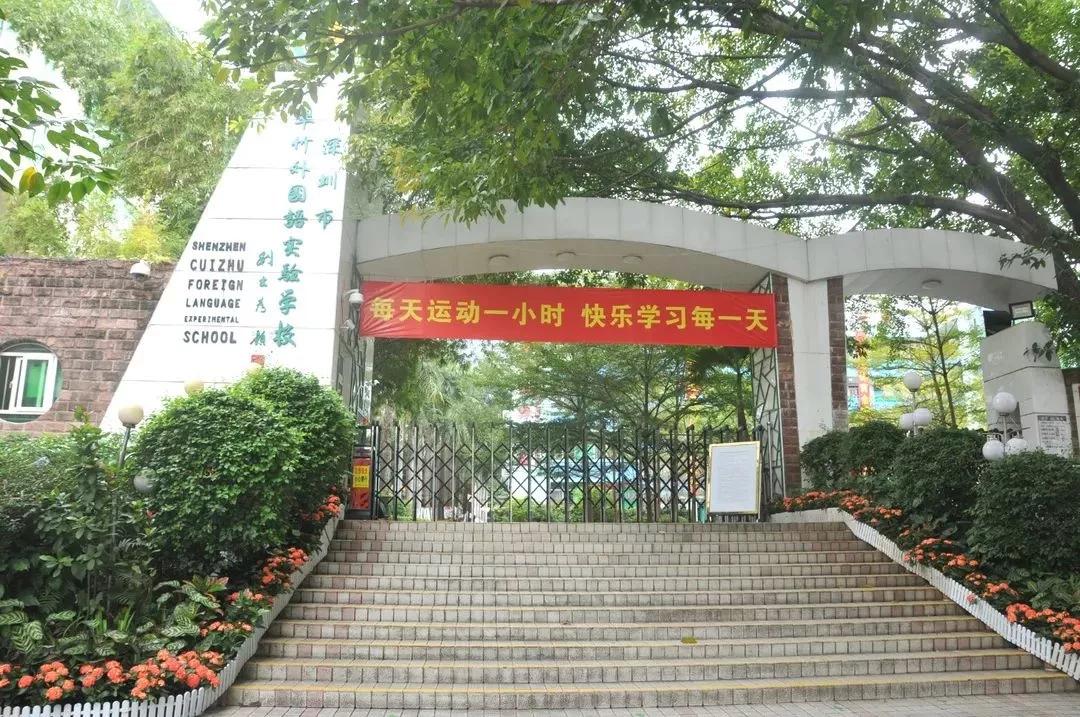 2019年深圳前十名的小学,2019年深圳小学综合排名99所