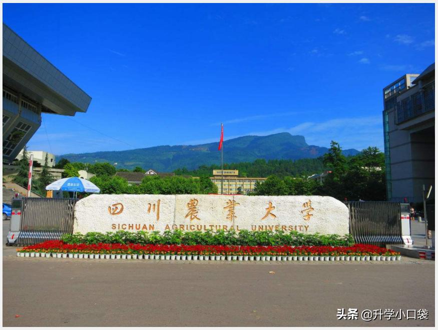 这9所好学校，具有“保研”资格，今年在重庆的录取分数不足470分