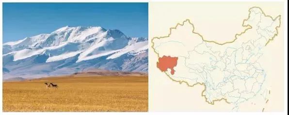 阿里巴巴为什么这么多商标,阿里巴巴为什么那么多奇葩的商标