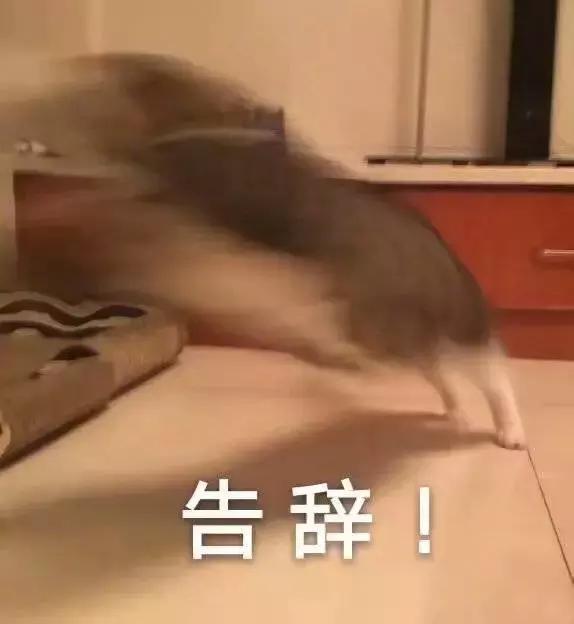 山东网红圈最乱的地方,网红圈有多脏乱