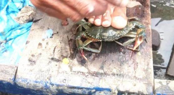 看看印度人是怎么干活,看看印度人如何吃火锅