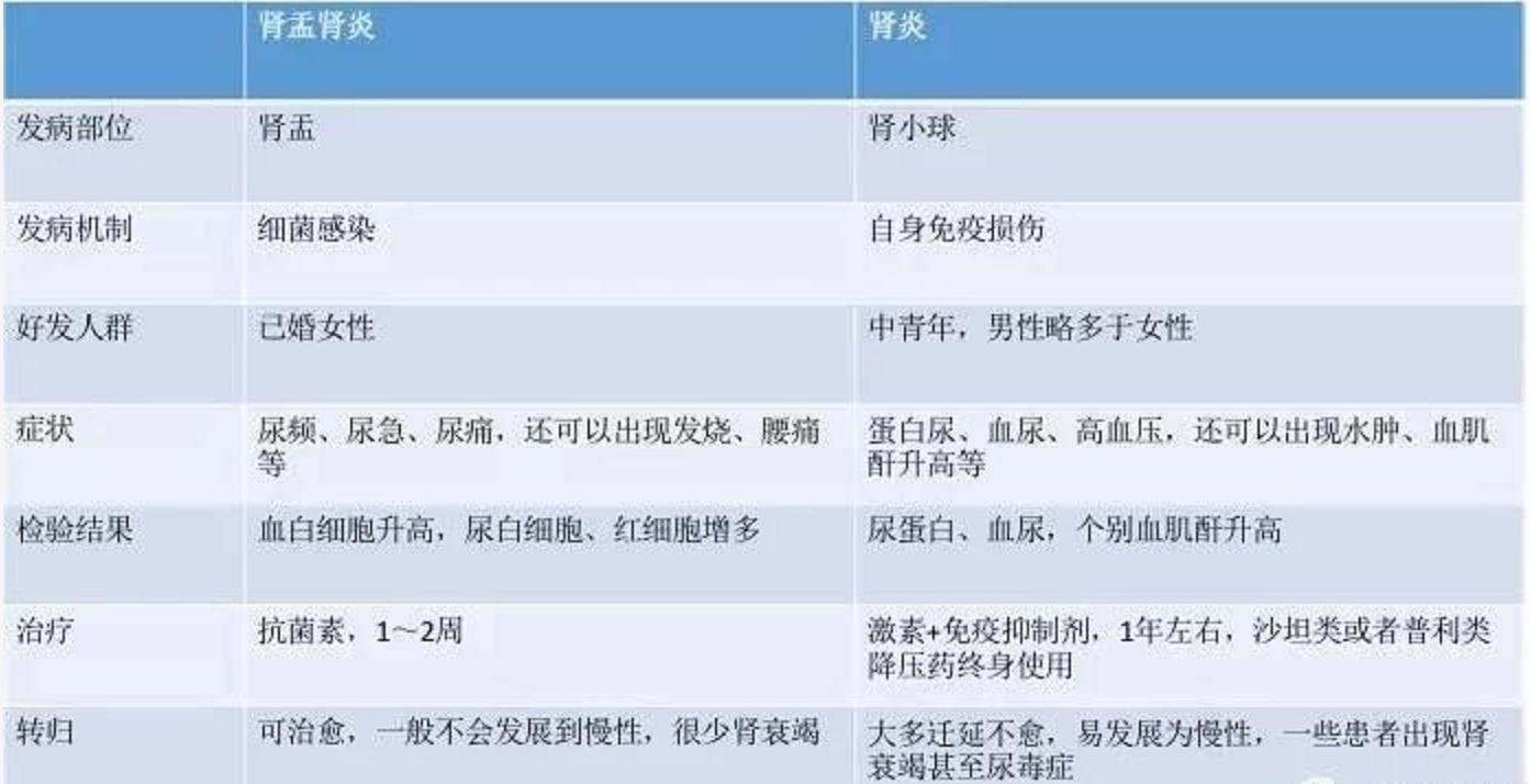 肾盂肾炎和肾炎有什么区别吗,肾小球肾炎如何区分慢性还是急性