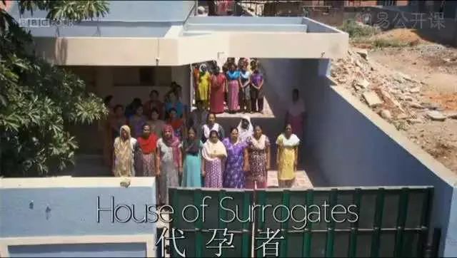 为什么C罗能代孕，而郑爽就被人骂？