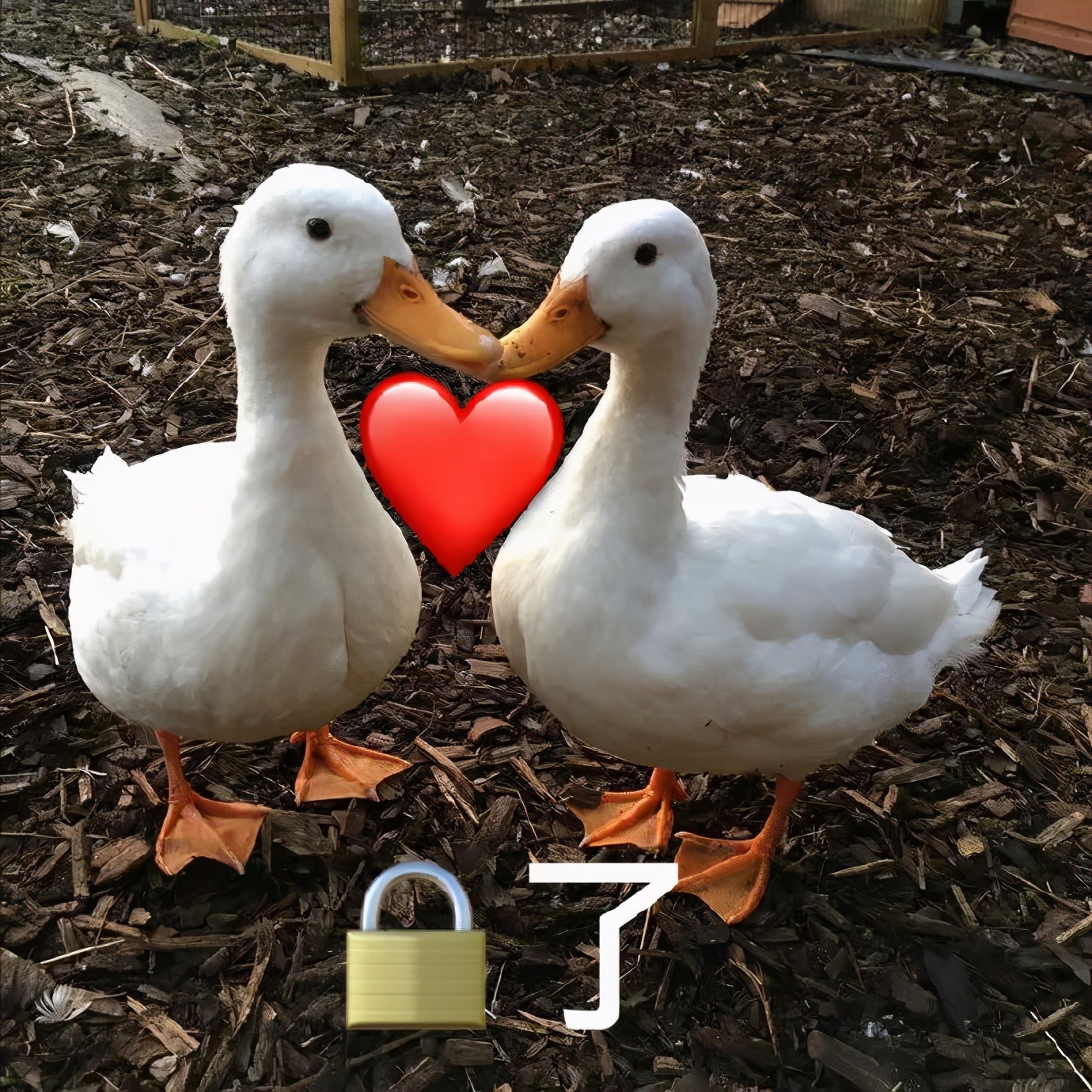 怎样才能找到美女当媳妇,如何成为美女