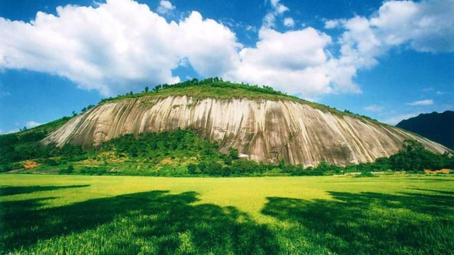 好福气,肇庆迎来一条高铁线路,经济增长新动力