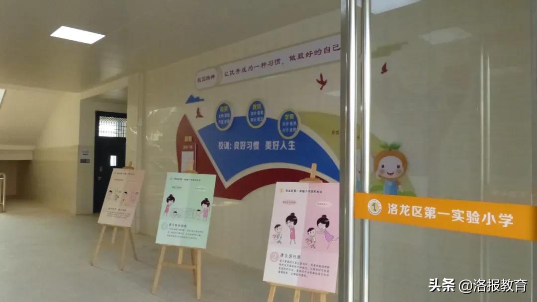 洛阳洛龙区有哪些小学,2019年洛龙区新建小学