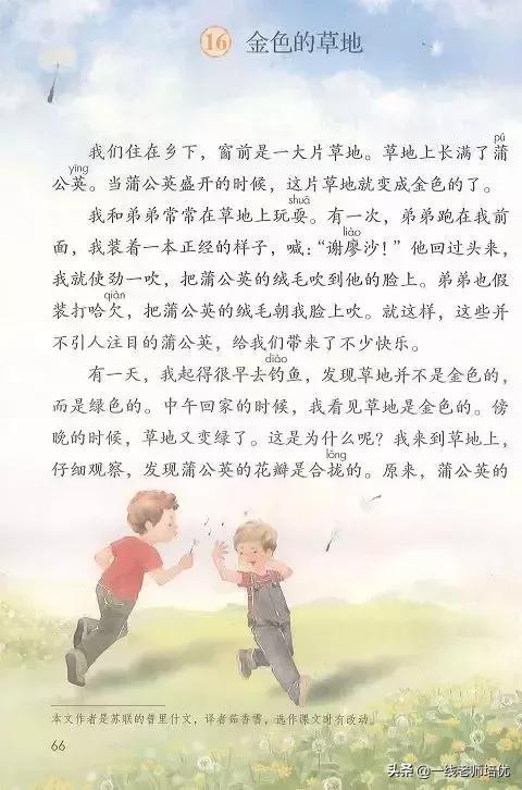 三年级语文金色的草地展现了什么,语文三年级上金色的草地课文讲解