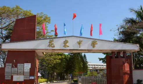 花都区幼升小完整攻略,花都小学最新规划图