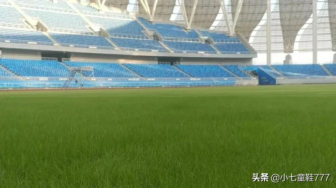 黄石奥体中心体育场内部,黄石奥体中心军运会