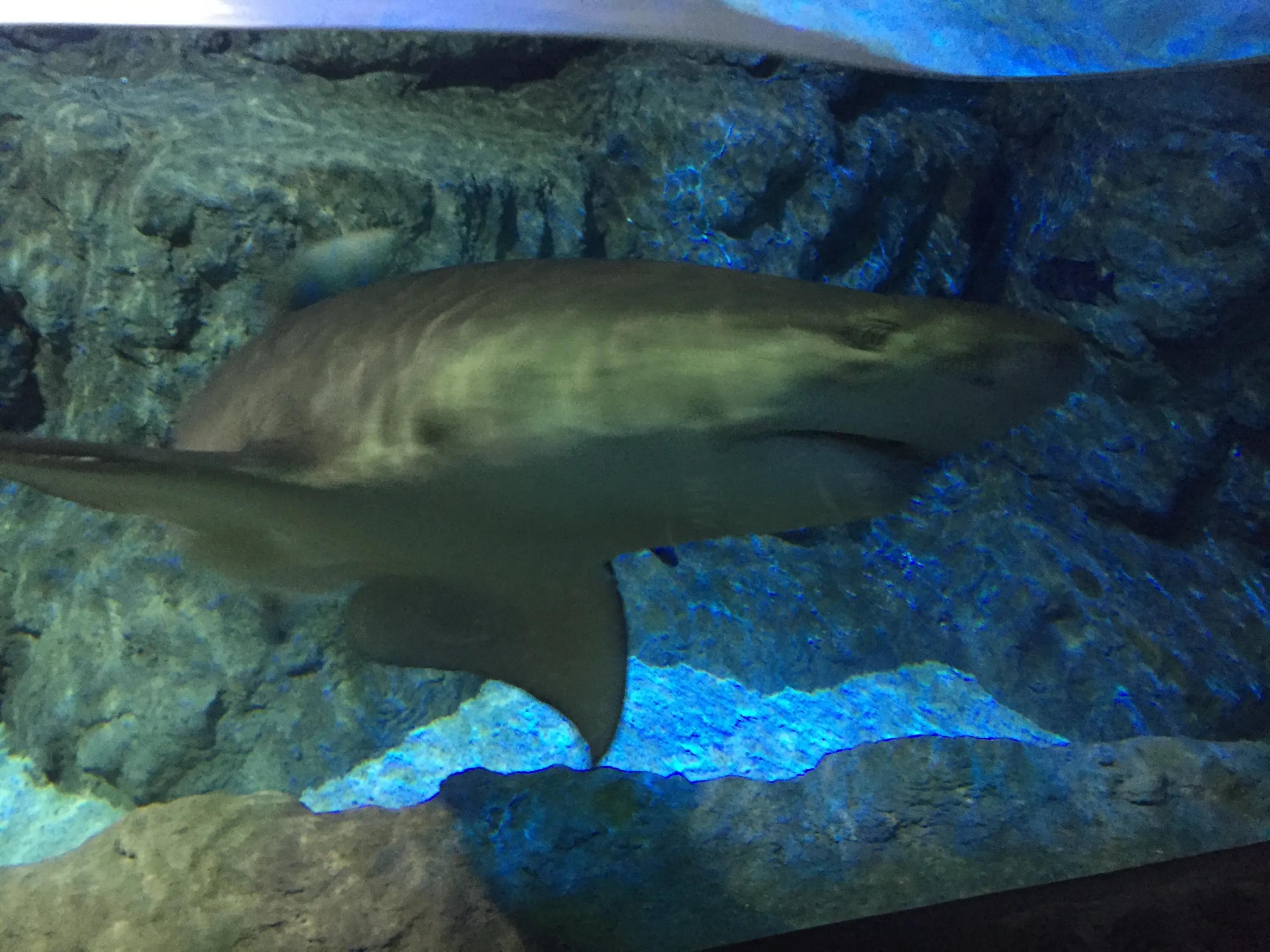 京津冀旅游一卡通海底世界,海底世界可以用旅游一卡通吗
