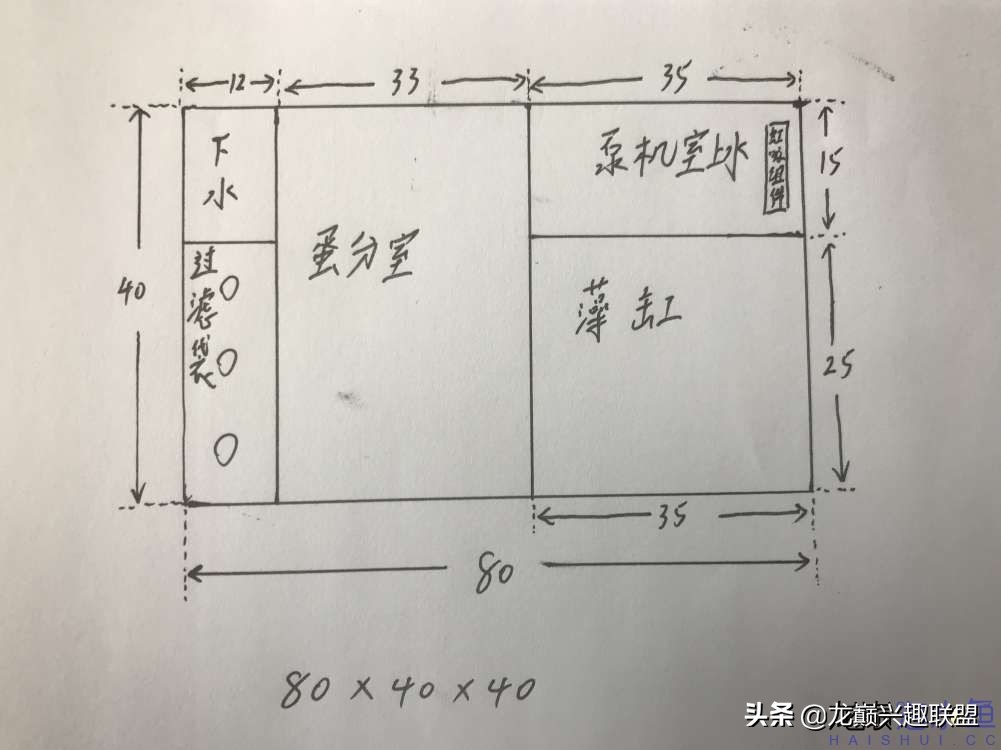 从零开始玩海缸的方法,从零开始玩海缸全过程