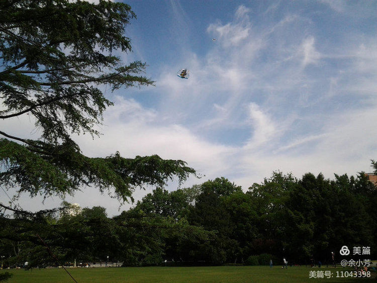 上海中山公园公寓,上海中山公园游玩攻略