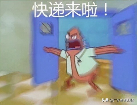 双十一付尾款后未发货退款,临近双十一商家退款是怎么回事