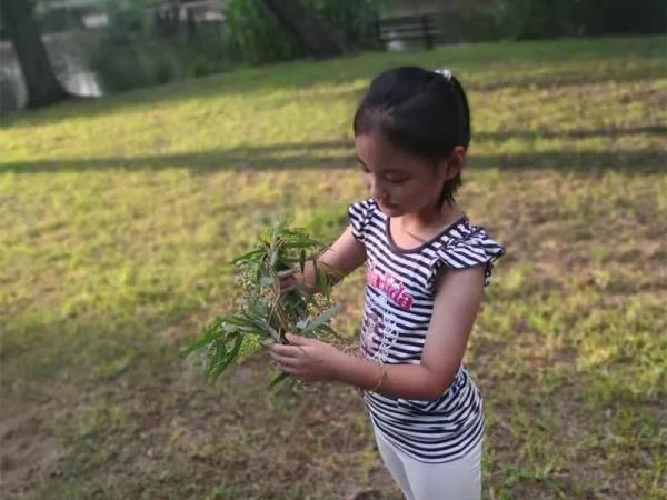 闯完基础课继续学大思，她的英语写作即将跟上美国同龄人