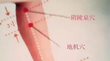 美白祛斑穴位,常按哪些穴位养生