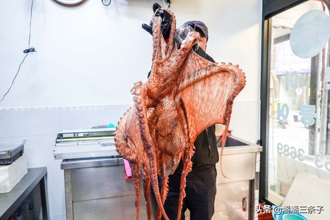 韩国有什么值得买的吃的,除了买买买还有什么活动