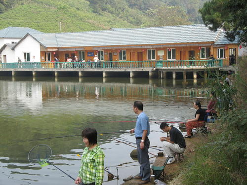 新手传统钓怎么选,写自己的经验怎么写