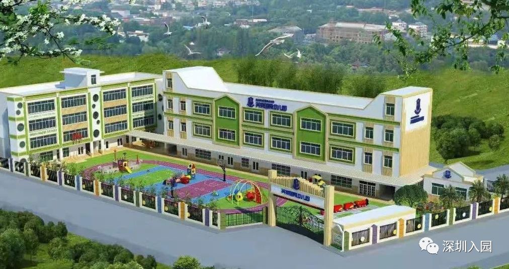 深圳双语幼儿园哪所比较好,深圳公立幼儿园学位充足