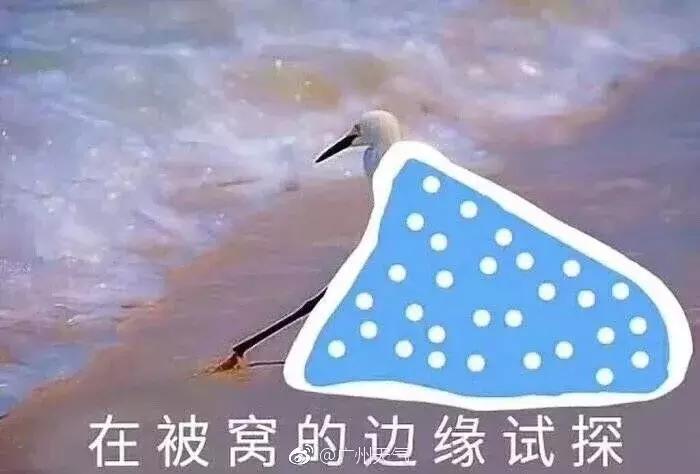 化州回南天还要多久,回南天来袭化州橘红收藏防潮攻略