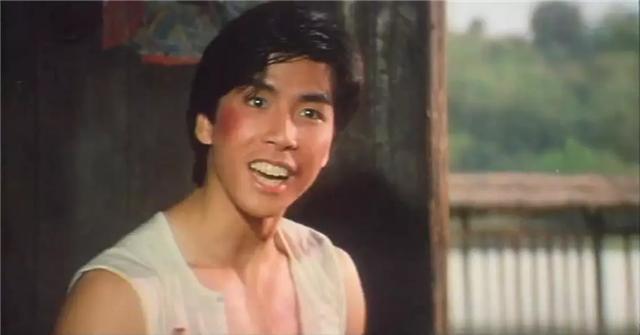 甄子丹十部巅峰动作片,甄子丹拍得最好的一部动作片