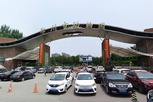 郑州适合亲子旅游的地方一日游,郑州适合一家人旅游的景点