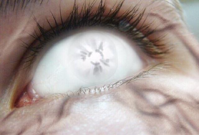 火影佐助壁纸写轮眼轮回眼,火影中写轮眼进化轮回眼