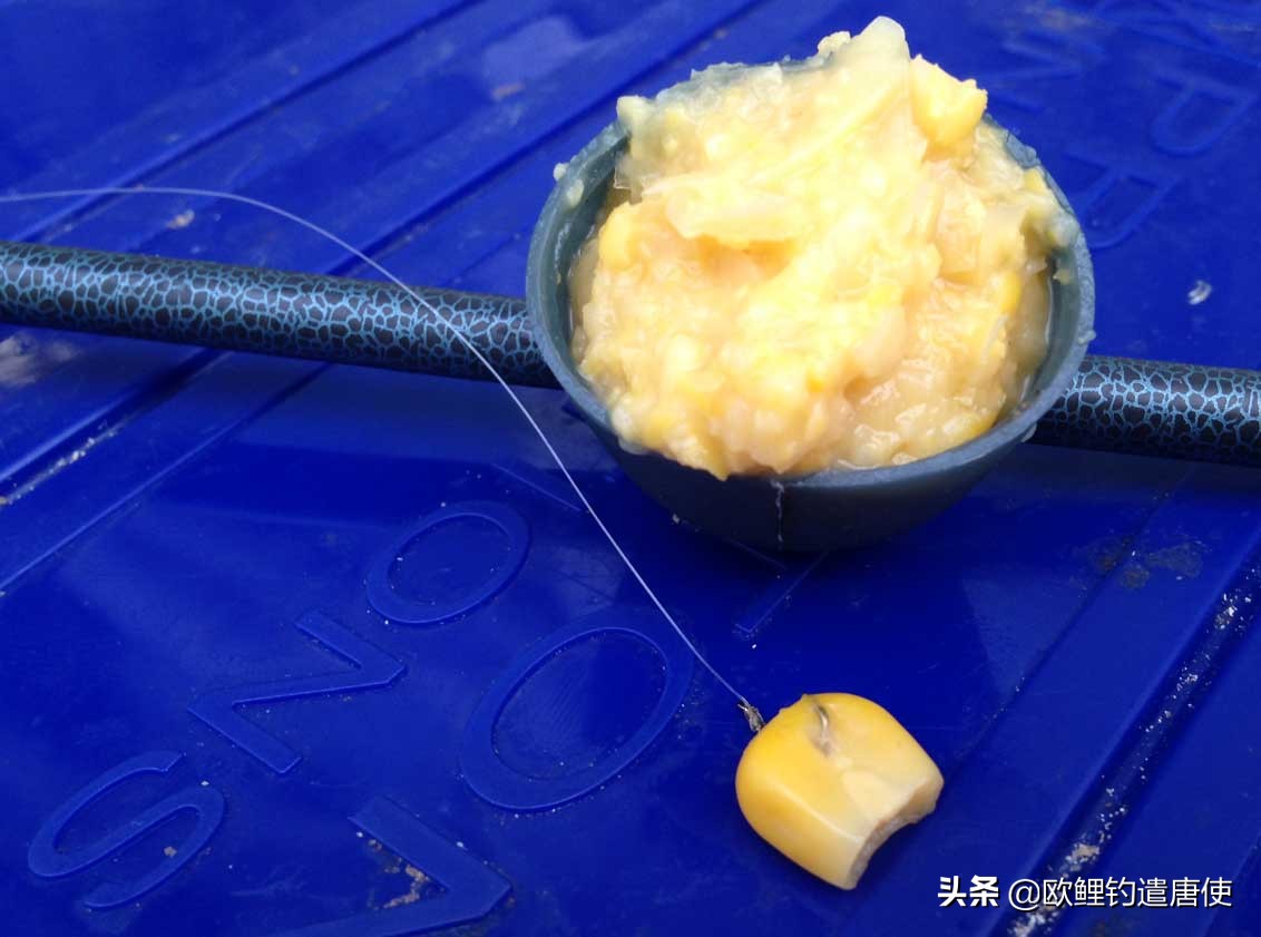 欧鲤钓必须用弯背钩吗,欧鲤钓真的那么厉害吗