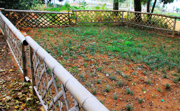 鄱湖之滨美景图,鄱阳湖之滨