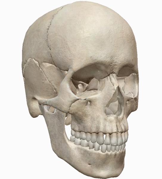 体态大师颧骨外扩,颧骨怎么样才算外扩