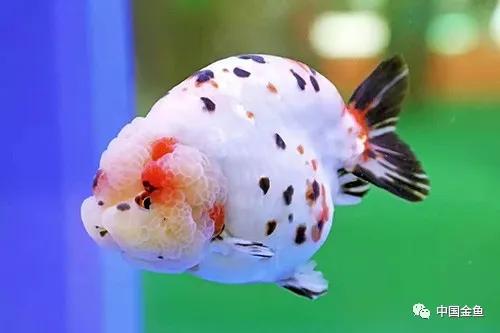 怎样判断家里水的好坏,家中盛水用什么好