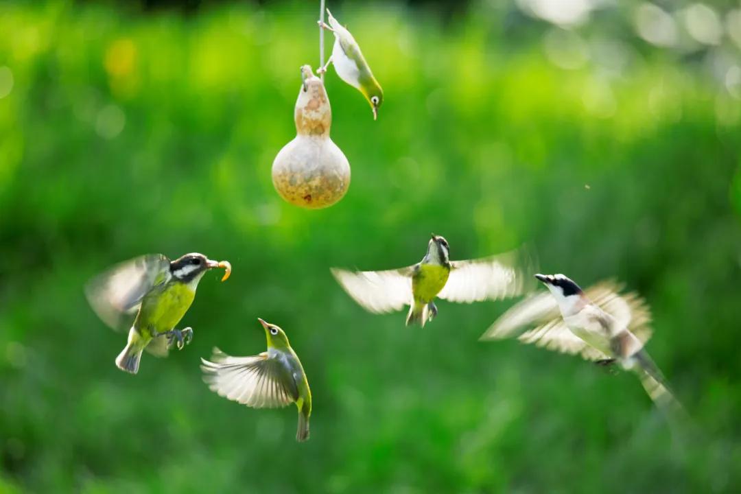 香港第14届全国摄影艺术展,第29届全国摄影艺术展览获奖名单