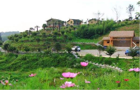 农村服务业创业新门路,农村创业什么才是挣钱的门路