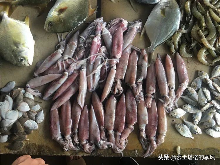 春节重庆出发自驾5-6天路线推荐,今年去哪旅游过年攻略