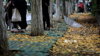 嘉兴话日常用语300句发音,嘉兴话翻译成中文谐音